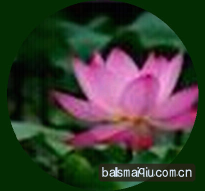 陈总